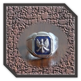 MR00250BD-Sterling Silver Synthetic Sapphire Men's Ring.