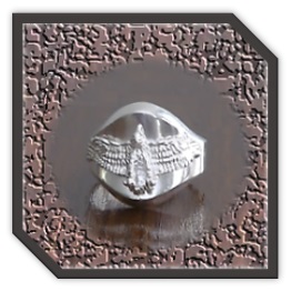 MR00250N-Sterling Silver Men's Ring.