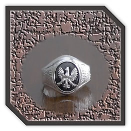 MR00240B-Sterling Silver Onyx Men's Ring.
