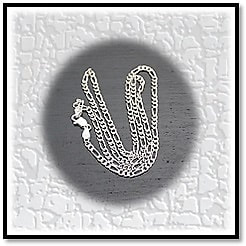 CH00120A-Sterling Silver Chain.