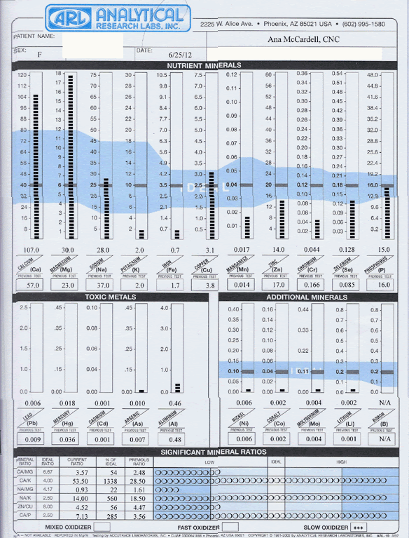 Sample hair mineral analysis lab results