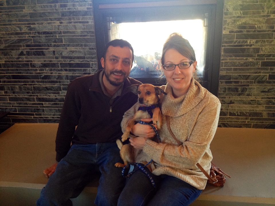 This North Carolina hotel welcomes you with open arms and dogs to adopt