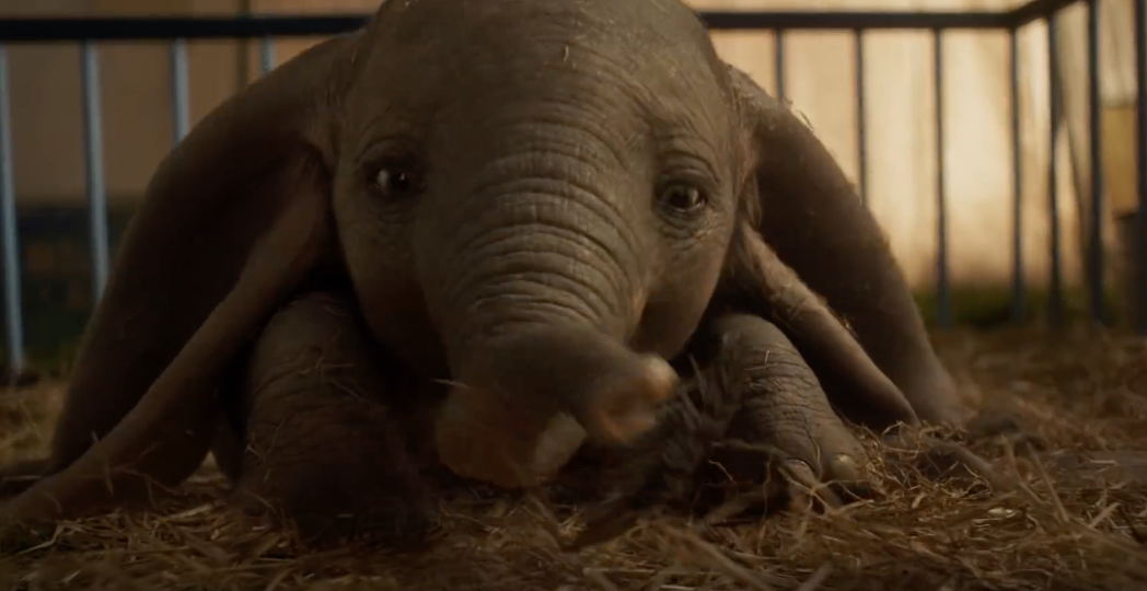 Trailer for 'Dumbo' out now