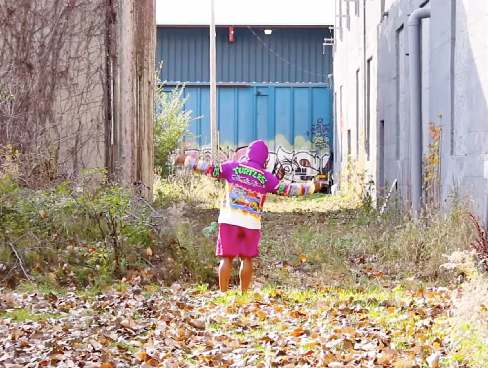 Watch the music video for 
Hal by Hisotb