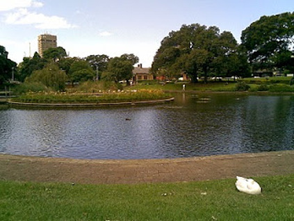 Picture
