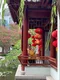 carousel chooser