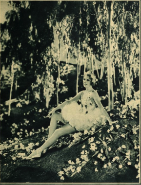 Picture