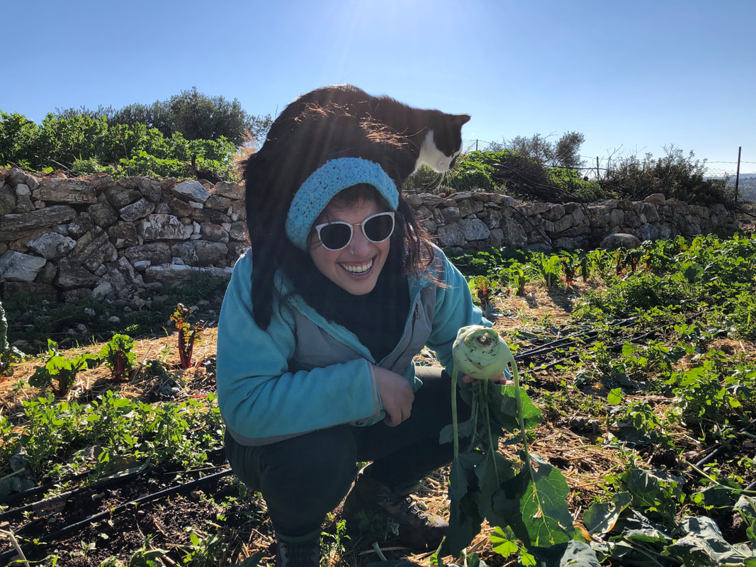 A woman crouches in a field of kohlrabi while a black and white cat perches on her back.