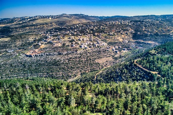The village of Battir as viewed from a hill.