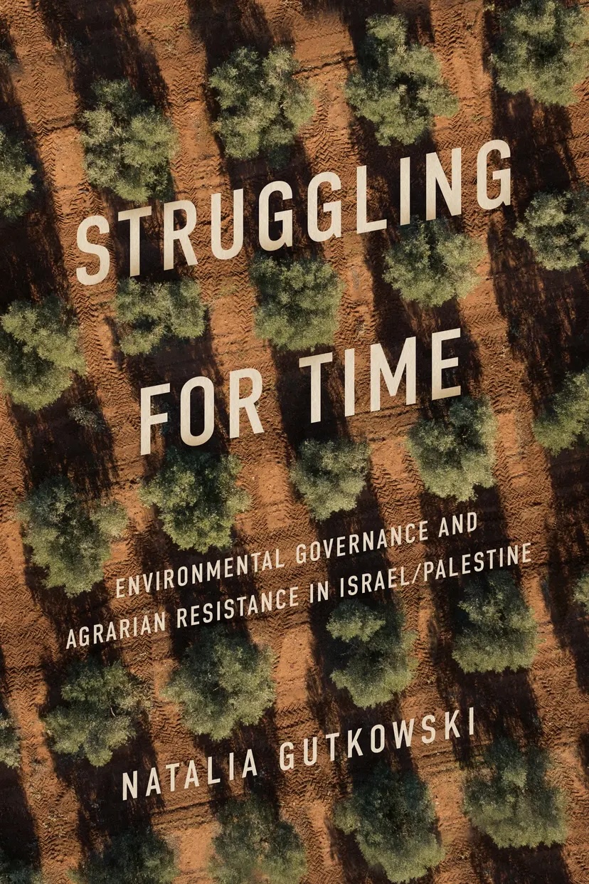 The cover of the book Struggling for Time with a grid of trees as viewed from above in the background