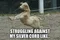 carousel chooser