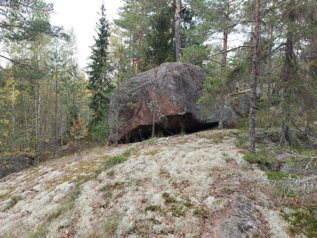Arja polkupyörällä kurpitsa korissa punainen takki