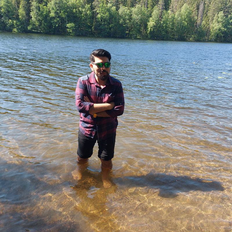 Picture