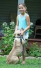 carousel chooser