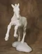 carousel chooser