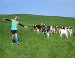 Image description