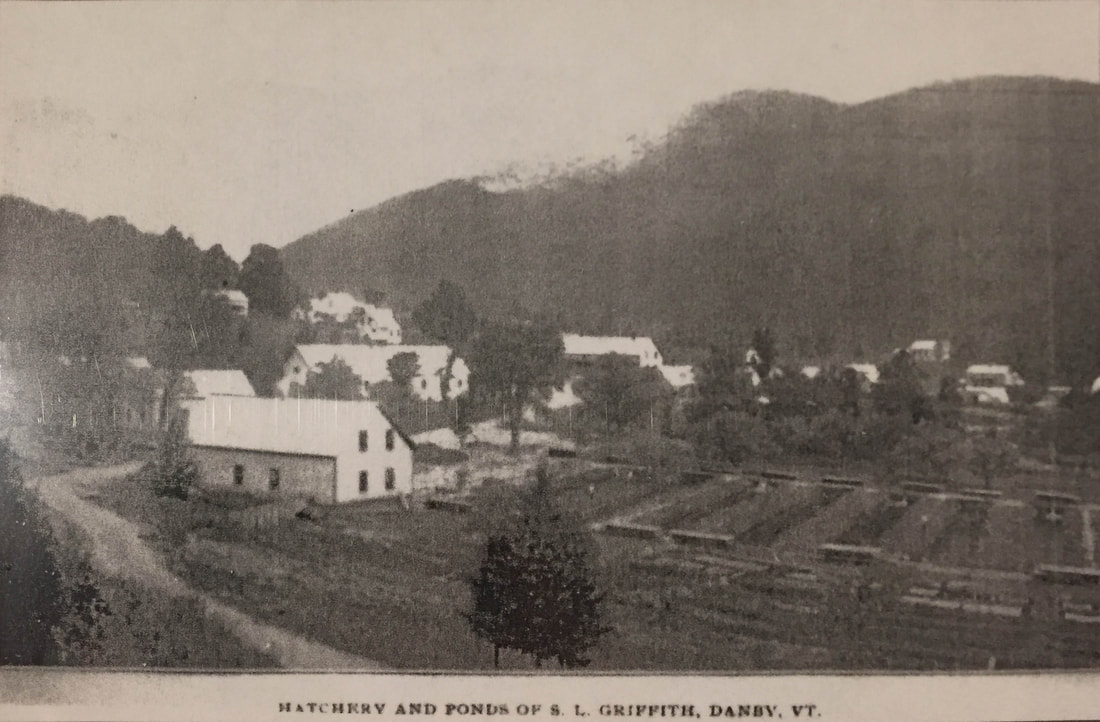 Trout Hatchery South End