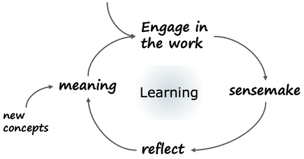 complex learning cycle