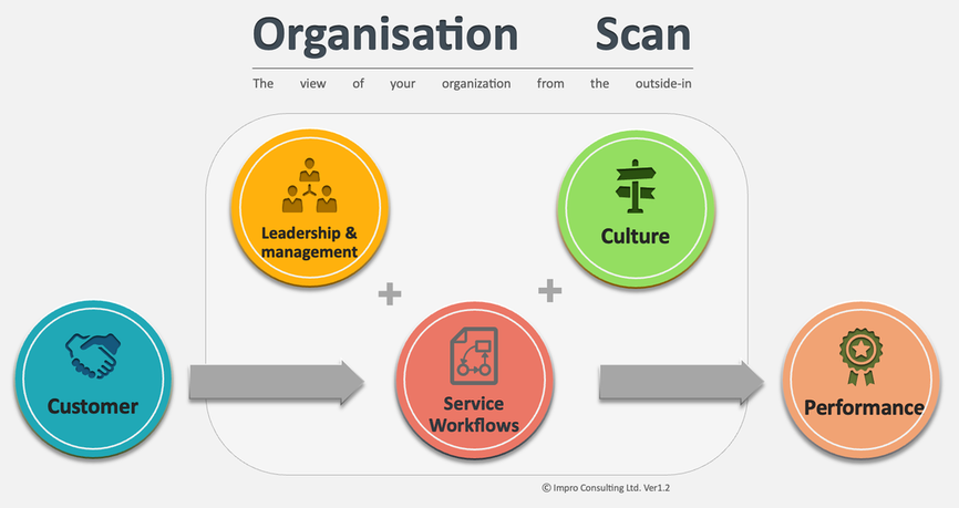 organisation scan assessment diagnosis