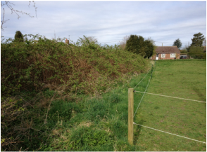 Proposed residential development site in Bunwell, Norfolk