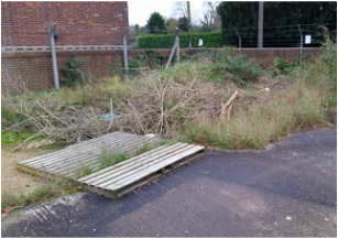 Reptile habitat on brownfield site in Haverhill, Suffolk