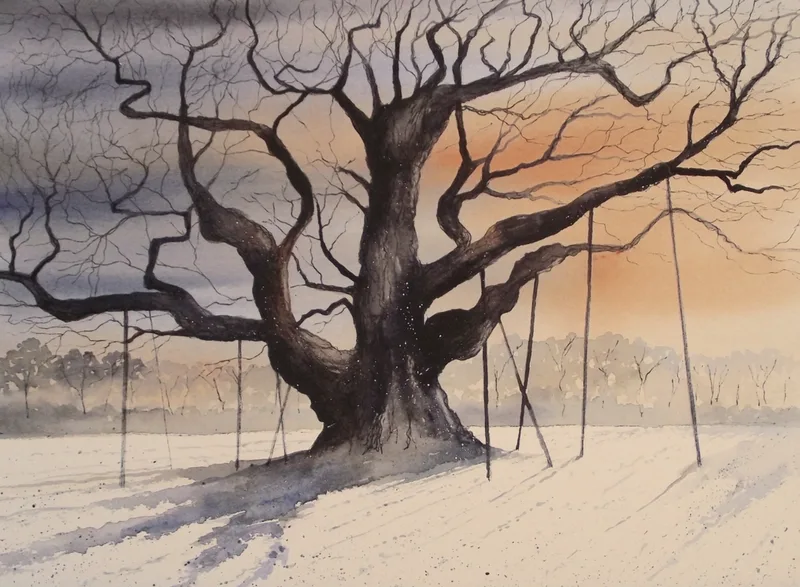Major Oak, Sherwood Forest