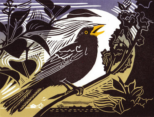 "Blackbird". Linocut by Pam Grimmond