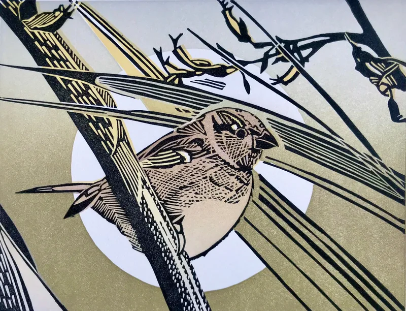 "House Sparrow" Linocut by Pam Grimmond