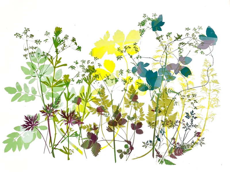 A Walk in White Horse Woods - Angela Hall