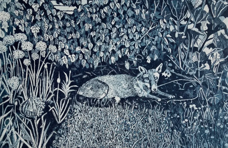 Allotment Fox - Janis Goodman