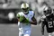 carousel chooser