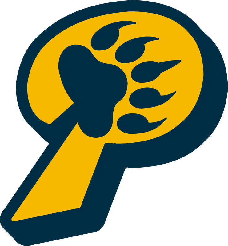 Blue Falcons Logo