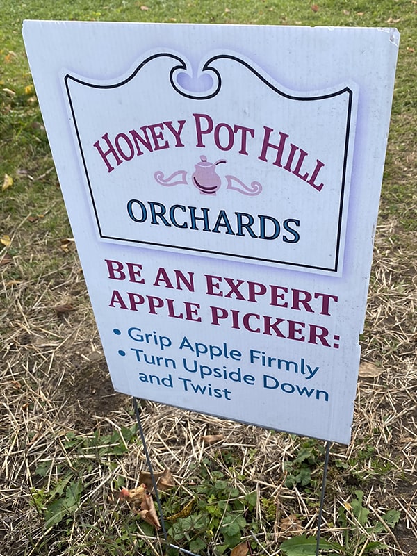 Apple Picking Massachusetts Honey Pot Hill Orchards