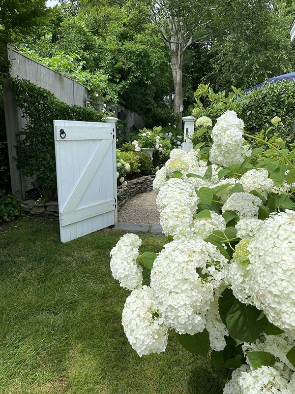 Cape Cod Hydrangea Festival Garden Gate