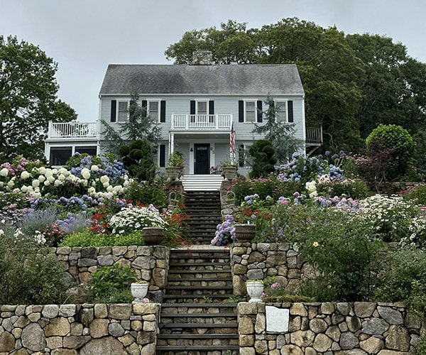 Cape Cod Hydrangea Festival Prince Way Garden South Dennis