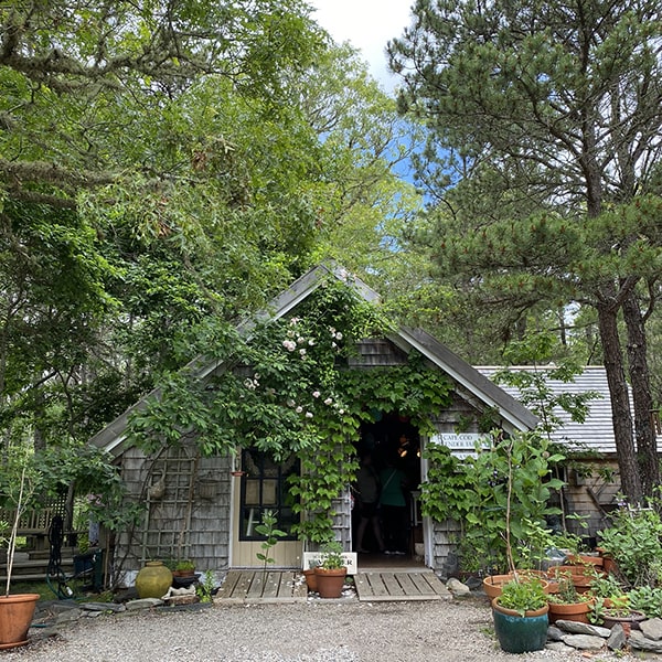 Cape Cod Lavender Farm Shop in the Woods