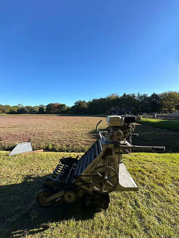 Cranberry Bog Tours Motorized Harvester