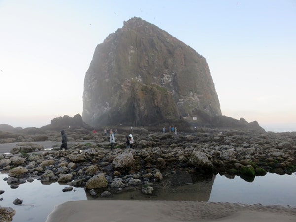 Haystack Rock Oregon Tide Pools