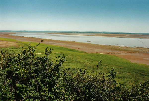 Tidal Bore Rafting Bay of Fundy Low Tide