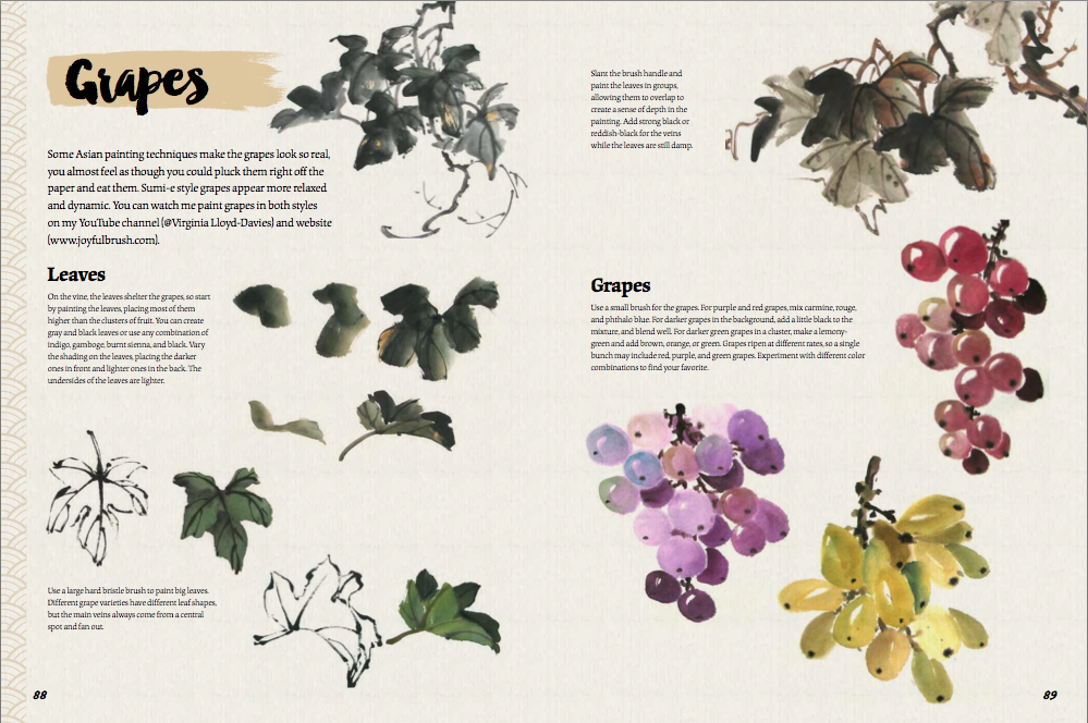images & text on how to paint grapesPicture
