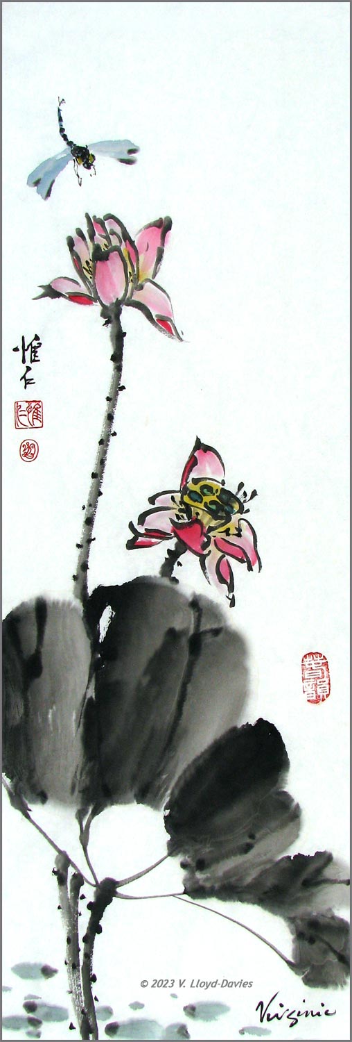 Blue dragonfly hovering over pink lotus flowers