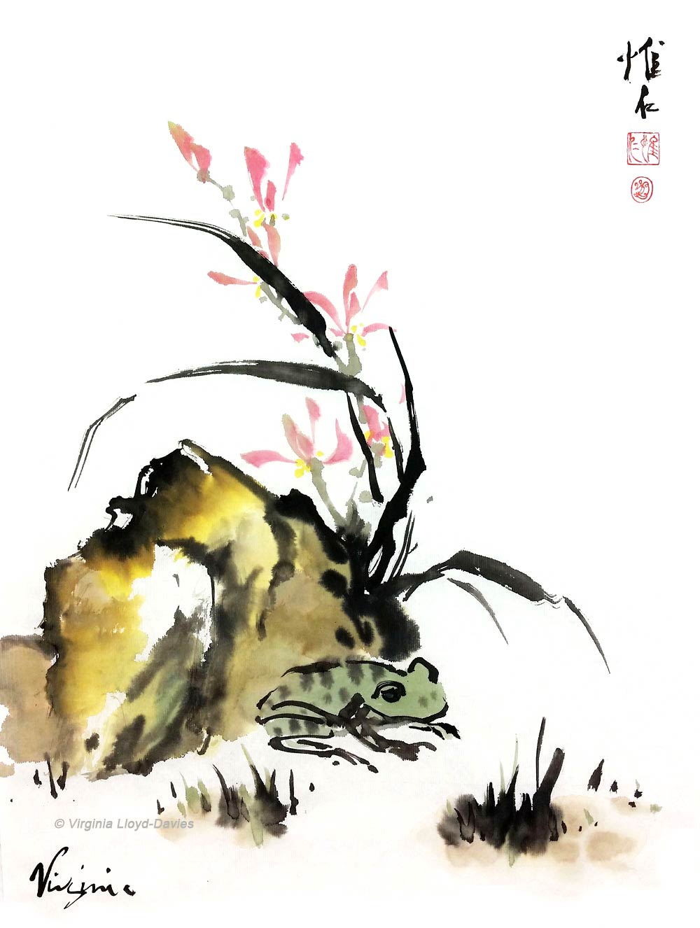 Frog shelters under rock and orchid watercolor Picture