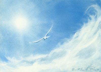 Above the Clouds