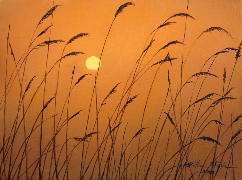 Reeds are lit by the setting sun in this glowing contemporary oil painting.