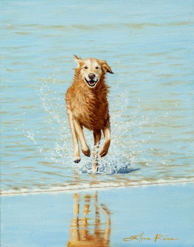 A happy Golden Retriever splashes toward you in this oil painting.