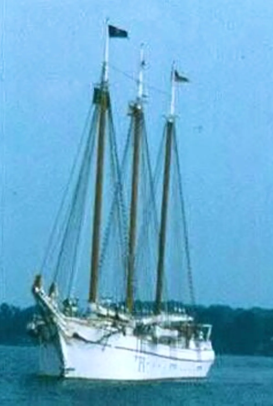 Image description