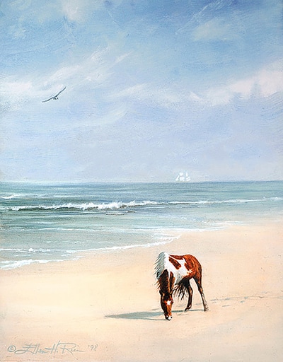 Chincoteague pony grazes on Assateague Island beach with ghostly ship on horizon prints.