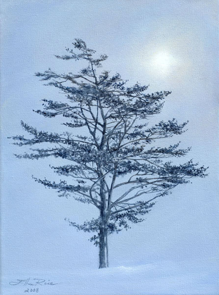 Newfallen snow and the lustre of midnight lend magic to this hushed tree scene painted in oils by  contemporary Delaware artist Ellen Rice