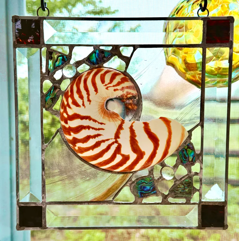 Chiara Reading stained glass with nautilus shell
