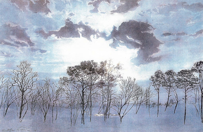 A dreamy light-filled morning view from the artist's front porch, painted in watercolors.
